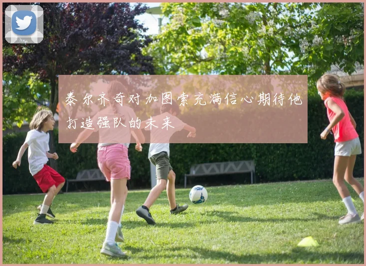 泰尔齐奇对加图索充满信心期待他打造强队的未来