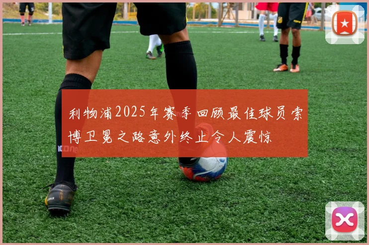 利物浦2025年赛季回顾最佳球员索博卫冕之路意外终止令人震惊