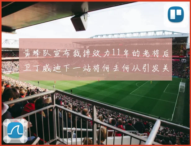 黄蜂队宣布裁掉效力11年的老将后卫丁威迪下一站将何去何从引发关注